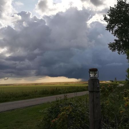 In De Boomgaard Daire Burgh-Haamstede Dış mekan fotoğraf