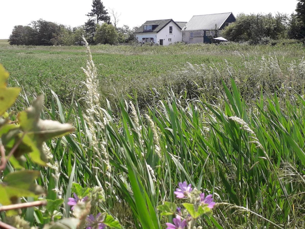 In De Boomgaard Daire Burgh-Haamstede Dış mekan fotoğraf