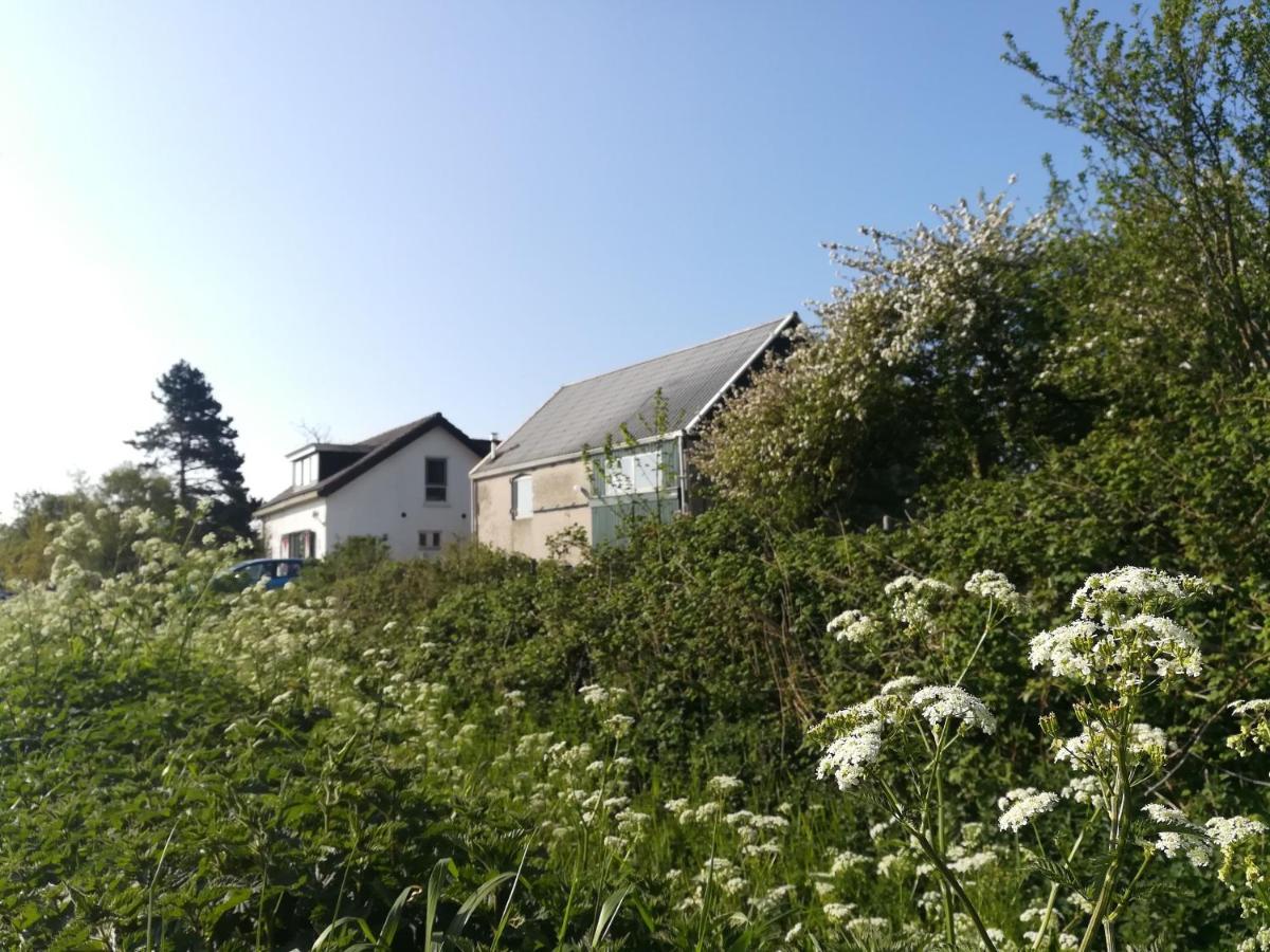 In De Boomgaard Daire Burgh-Haamstede Dış mekan fotoğraf
