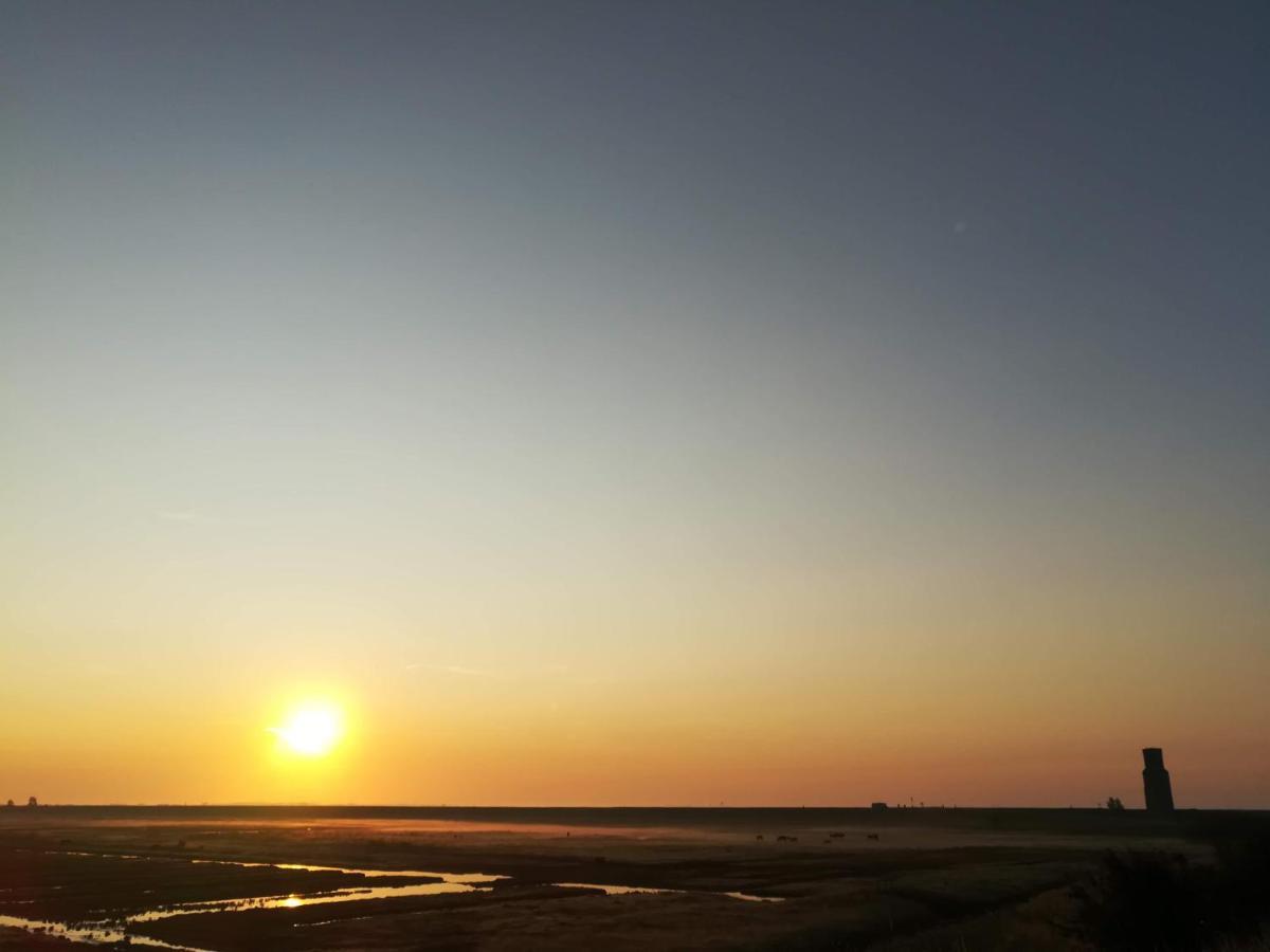 In De Boomgaard Daire Burgh-Haamstede Dış mekan fotoğraf